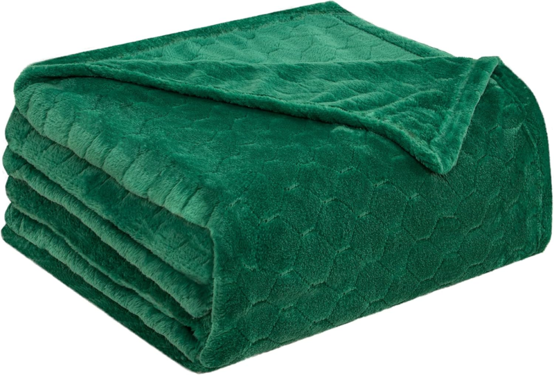 Super Soft Fleece Throw Blanket 50" x 60" - Emerald Green Cozy Plush