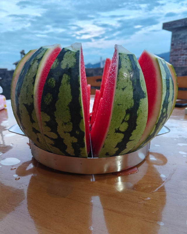 Stainless Steel Watermelon Slicer - 12 Slice Cutter, 9.8 in Diameter