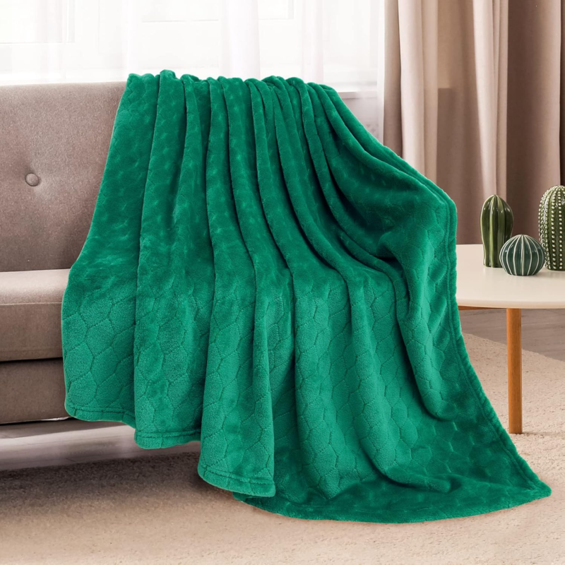 Super Soft Fleece Throw Blanket 50" x 60" - Emerald Green Cozy Plush