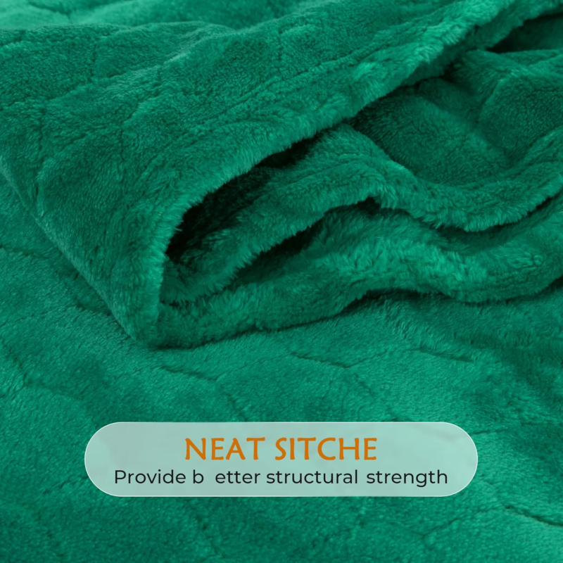 Super Soft Fleece Throw Blanket 50" x 60" - Emerald Green Cozy Plush