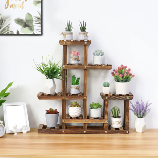 6-Tier Pine Wood Plant Stand for Indoor/Outdoor Succulent Display Rack