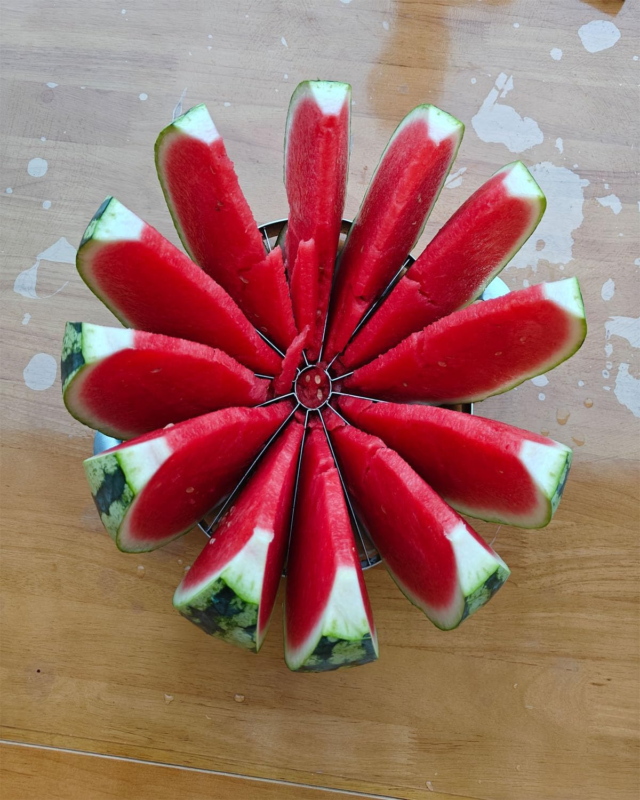 Stainless Steel Watermelon Slicer - 12 Slice Cutter, 9.8 in Diameter