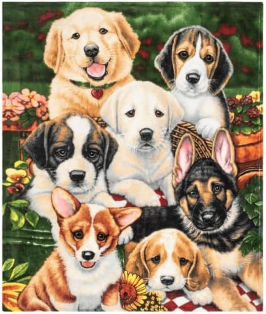  Queen Size Puppy Fleece Blanket - Super Soft 50x60