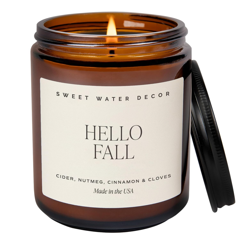 Soy Candle Hot Cider-Cinnamon-Cloves-Apple-Nutmeg Scented Candle Made in the USA