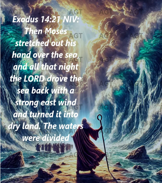 Exodus 14.21 (NIV) Poster