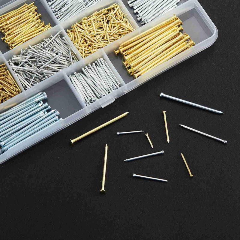 Hardware Assorted Nails Set 10 Sizes 900 PCS 13-50 Millimetres for Home Repair 