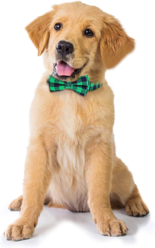 Dog or Cat Bow Tie,  Collar with Bow Tie Buckle Light Plaid  Adjustable (Large G