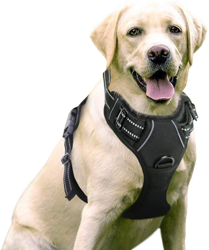 Dog Harness, No-Pull with 2 Leash Clips, Adjustable Soft Padded Dog Vest, Large