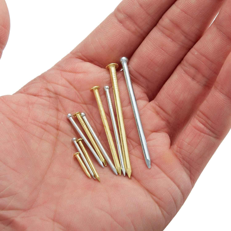 Hardware Assorted Nails Set 10 Sizes 900 PCS 13-50 Millimetres for Home Repair 