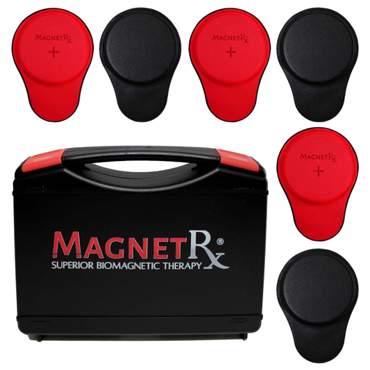 Magnets Kit –  5200 Gauss Large round Magnets (6 Units)